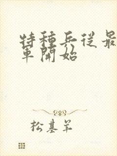 特种兵从最强空军开始