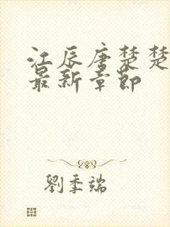 江辰唐楚楚结局最新章节