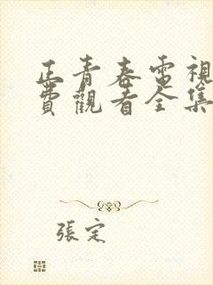 正青春电视剧免费观看全集6