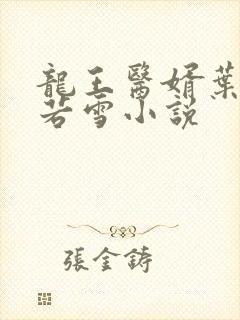 龙王医婿叶凡唐若雪小说