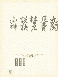 小说林辰九天斩神诀免费阅读