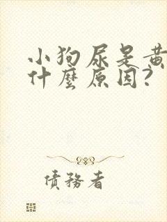 小狗尿是黄的是什么原因?