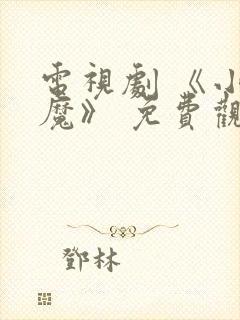 电视剧 《小恶魔》 免费观看