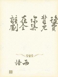 谁在你背后电视剧全集免费观看