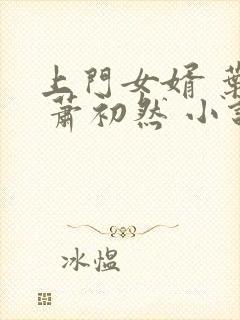 上门女婿 叶辰 萧初然 小说