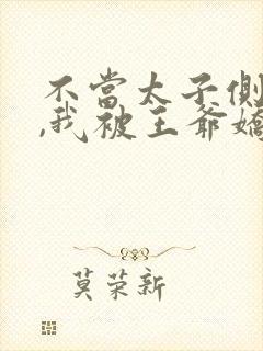 不当太子侧妃后,我被王爷娇宠了免费