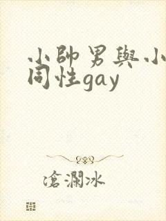 小帅男与小鲜肉同性gay