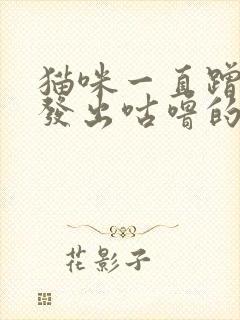 猫咪一直蹭我还发出咕噜的声音