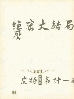 绝密大结局是什么