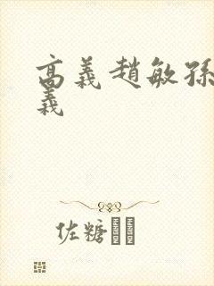 高义赵敏孙倩高义封面