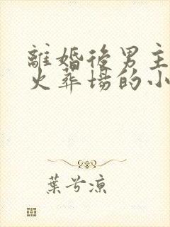 离婚后男主追妻火葬场的小说