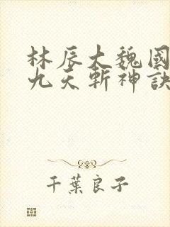 林辰大魏国小说九天斩神诀