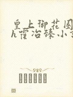 皇上御花园hlh霍冶臻小说封面