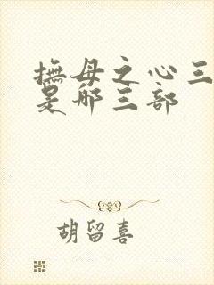 抚母之心三部曲是哪三部