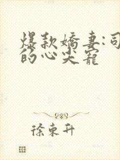 爆款娇妻:司少的心尖宠