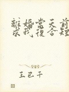 离婚当天前夫跪求我复合短剧女主角