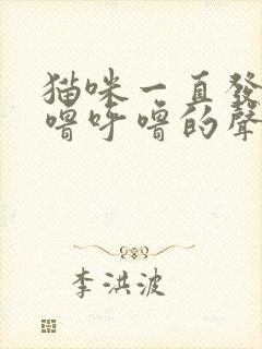 猫咪一直发出呼噜呼噜的声音