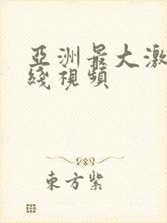 亚洲最大激情在线视频