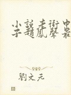 小说老街中的痞子赵凤声最新篇章