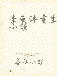 李东沐重生官场小说