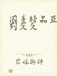 国产精品亚洲系列久久