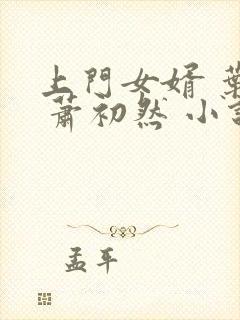 上门女婿 叶辰 萧初然 小说