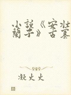 小说《安壮壮,兰子》古寨小说下载