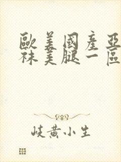 欧美国产亚洲丝袜美腿一区封面