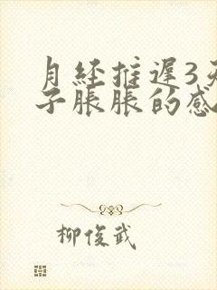 月经推迟3天肚子胀胀的感觉乳房胀痛