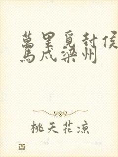 万里觅封侯,匹马戍梁州封面