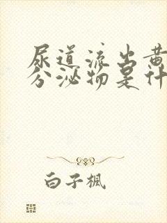 尿道流出黄脓状分泌物是什么