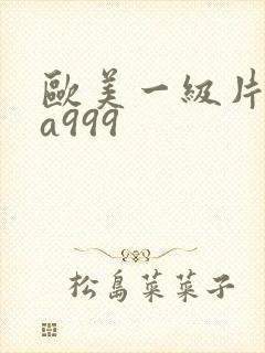 欧美一级片内射a999