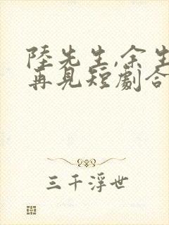 陆先生,余生不再见短剧合集