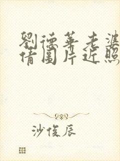 刘德华老婆朱丽倩图片近照