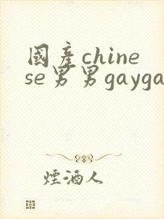 国产chinese男男gaygay网站肌肉