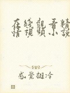 在线观看精品激情视频小说