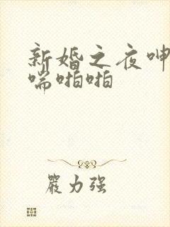 新婚之夜呻吟娇喘啪啪