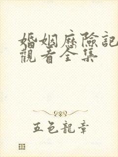 婚姻历险记在线观看全集