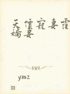 天价宠妻霍总小娇妻封面