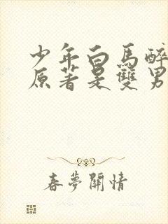 少年白马醉春风原著是双男主吗