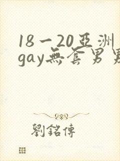 18一20亚洲gay无套男男
