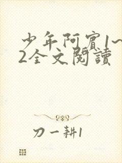 少年阿宾1~72全文阅读