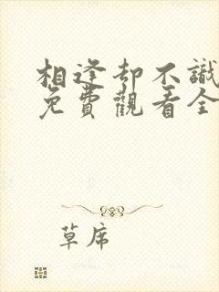 相逢却不识短剧免费观看全集