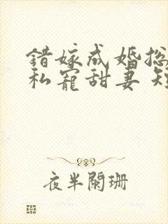 错嫁成婚总裁的私宠甜妻 短剧