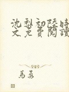 沈梨初陆时霁全文免费阅读最新章节封面