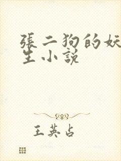 张二狗的妖孽人生小说封面