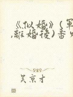 《似婚》(军婚,离婚后)番外