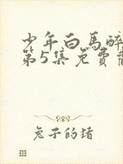 少年白马醉春风第5集免费观看