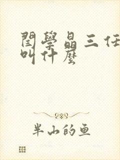 闫学晶三任丈夫叫什么