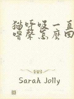 猫呼吸一直有呼噜声怎么回事